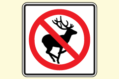 no deer